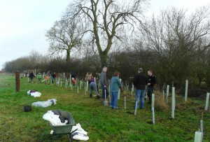 Volunteers tree planting at Sun Rising