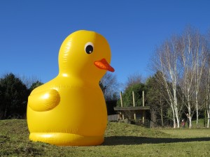 Giant duck