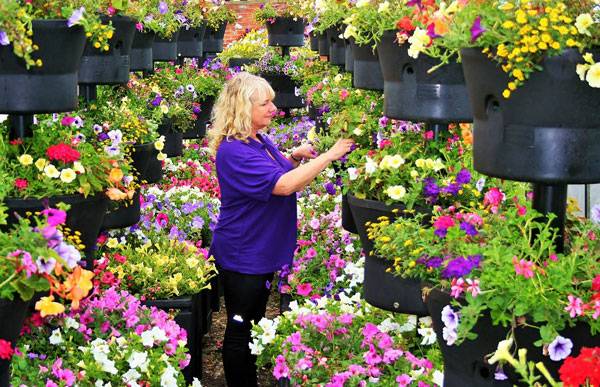 Spike in orders for designer planters and bespoke displays helps complete street style