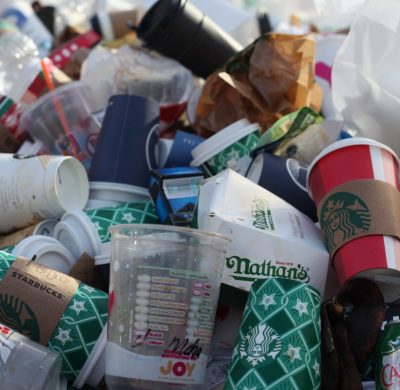 Why Environmental Protection Efforts Must Begin at Home