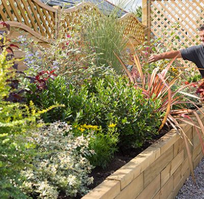 Garden on a Roll