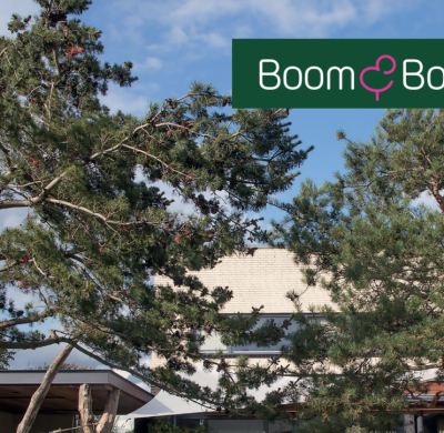 Boom & Bonheur