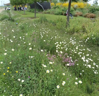 Sustainable landscapes make for distinctive places.