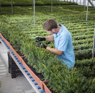 Readyhedge