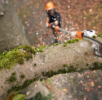 STIHL launches its most powerful battery pole pruners to date