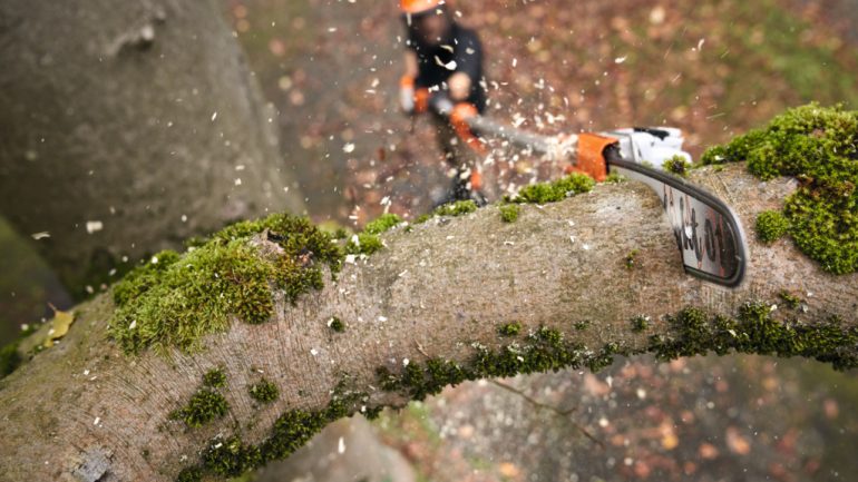 STIHL launches its most powerful battery pole pruners to date