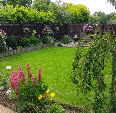 Choosing your perfect lawn seed is as easy as 1,2,3