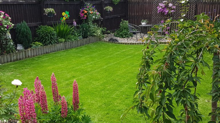 Choosing your perfect lawn seed is as easy as 1,2,3