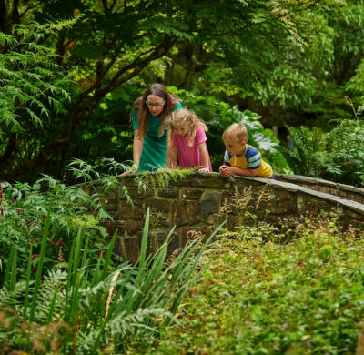 RHS Partner Garden of the Year competition 2024