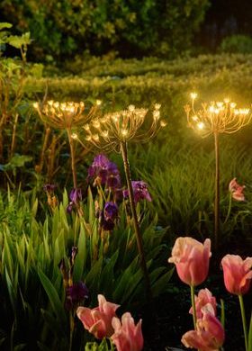 Sparkle Lighting