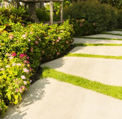 CMO Group PLC ‘grows’ with the launch of Landscaping Superstore