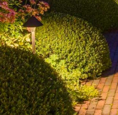 Illuminate Your Garden and the Planet: Nitelux Garden Lighting