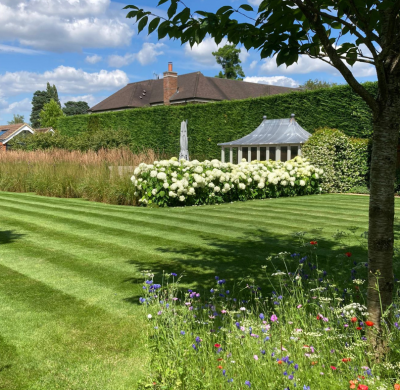 An Inside Look at Your Garden Needs: An Interview with Founder Andy Coxon