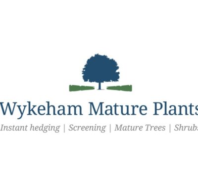 Wykeham Mature Plants